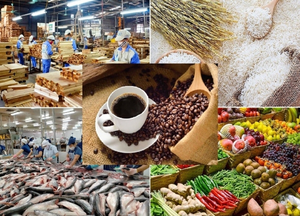 Giá nông sản hôm nay 16/8: Tiêu đi ngang, cà phê giảm phiên thứ tư liên tiếp