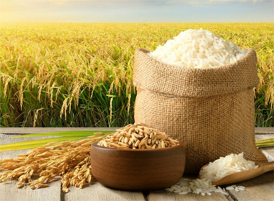 Gạo Việt trước yêu cầu mở rộng thị trường và nâng giá trị chuỗi