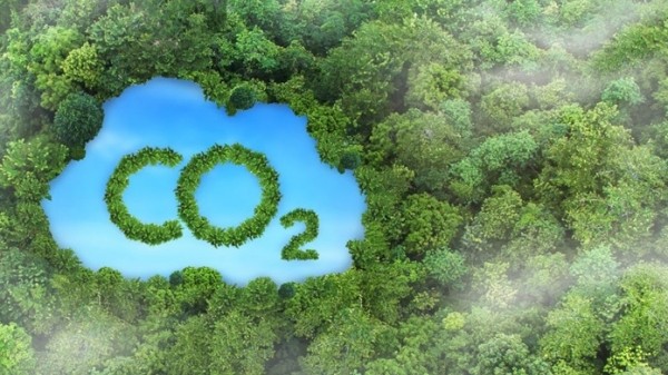 Mở rộng cánh cửa hội nhập quốc tế cho thị trường carbon Việt Nam
