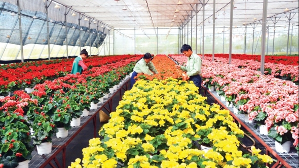 Thúc đẩy nghiên cứu, ứng dụng năng lượng nguyên tử phục vụ phát triển kinh tế-xã hội