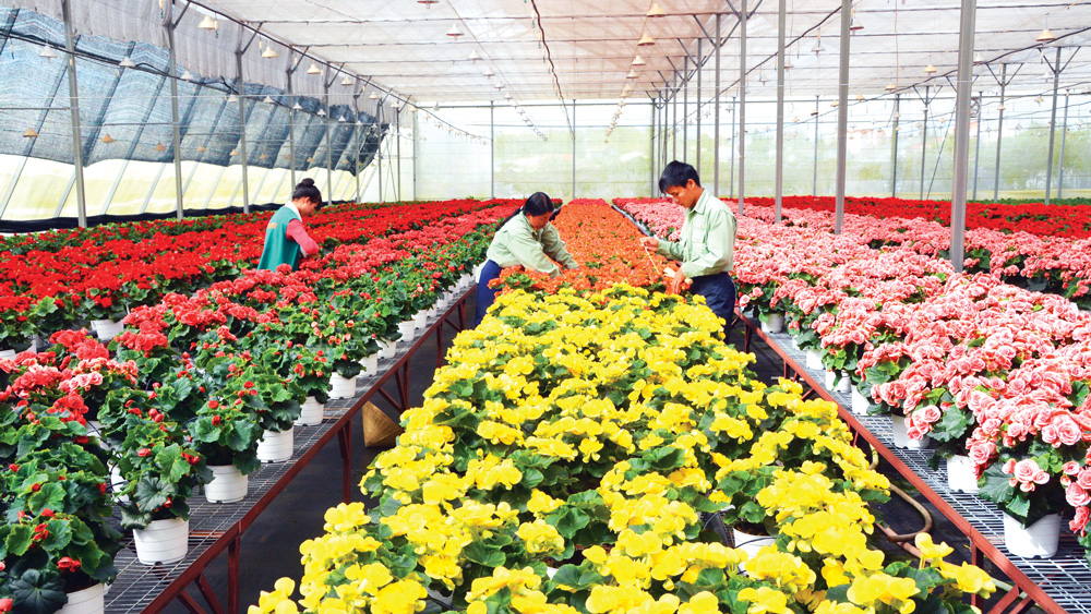 Thúc đẩy nghiên cứu, ứng dụng năng lượng nguyên tử phục vụ phát triển kinh tế-xã hội