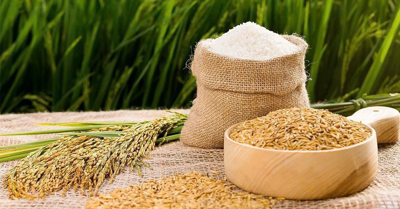 Giá nông sản hôm nay 258 Cà phê tăng hồ tiêu đi ngang lúa gạo ít biến động