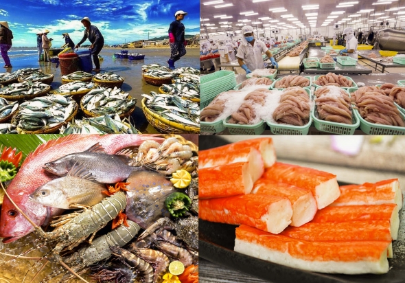 Thủy sản Việt Nam trước sức ép thuế Mỹ: Lợi thế cạnh tranh phải vượt khỏi giá bán