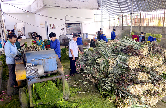 Cần Thơ thúc đẩy kinh tế tuần hoàn trong sản xuất nông nghiệp