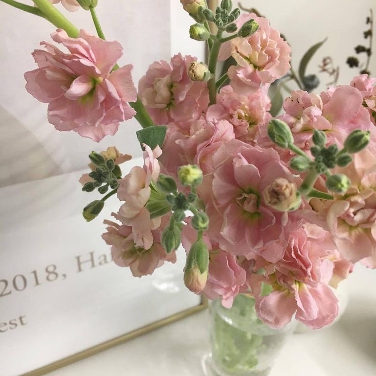 Tử vi 12 con giáp ngày 3/9/2022: Tuổi Dần thăng quan tiến chức, tuổi Tý nóng nảy