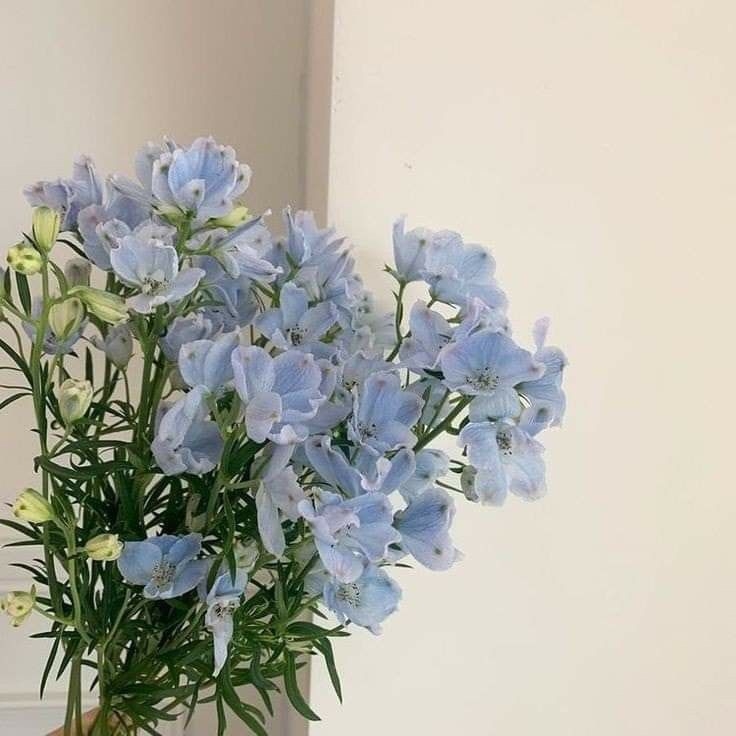 Tử vi 12 con giáp ngày 3/9/2022: Tuổi Dần thăng quan tiến chức, tuổi Tý nóng nảy