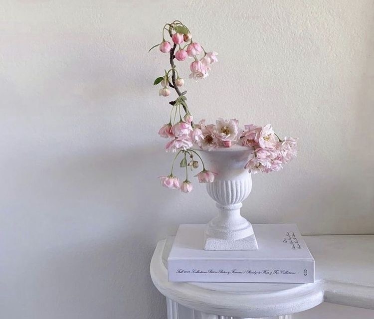 Tử vi tuần mới 5/9 - 11/9/2022 của 12 con giáp: Tuổi Dậu được nâng đỡ, tuổi Tý gặp khó khăn