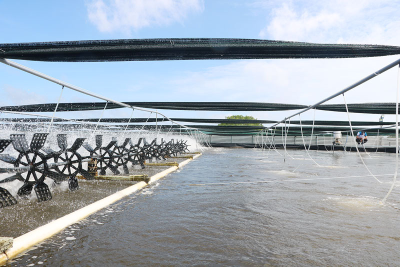 Chủ động thích ứng linh hoạt với biến đổi khí hậu