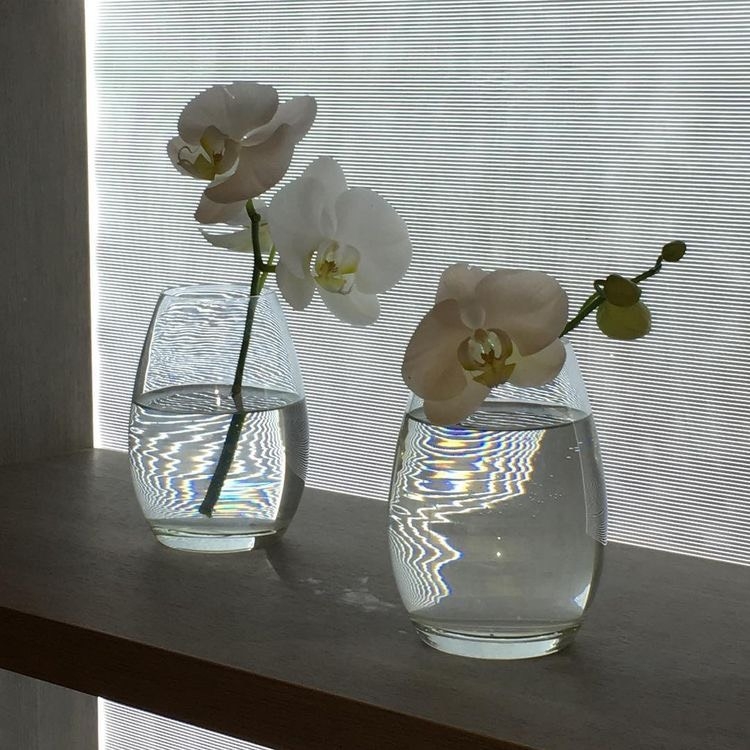 Tử vi 12 con giáp ngày 6/9/2022: Tuổi Dần nhiều tin vui, tuổi Dậu vướng họa thị phi