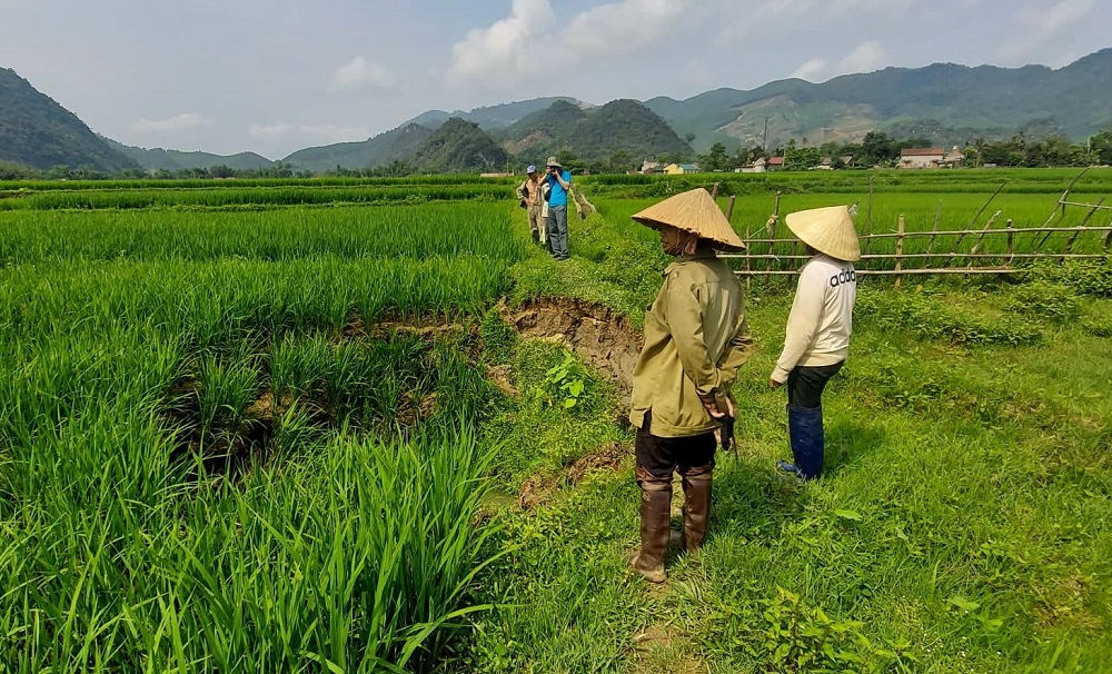 Vụ sụt lún tại huyện Quỳ Hợp (Nghệ An): Yêu cầu Công ty CP Tân Hoàng Khang khắc phục tồn tại