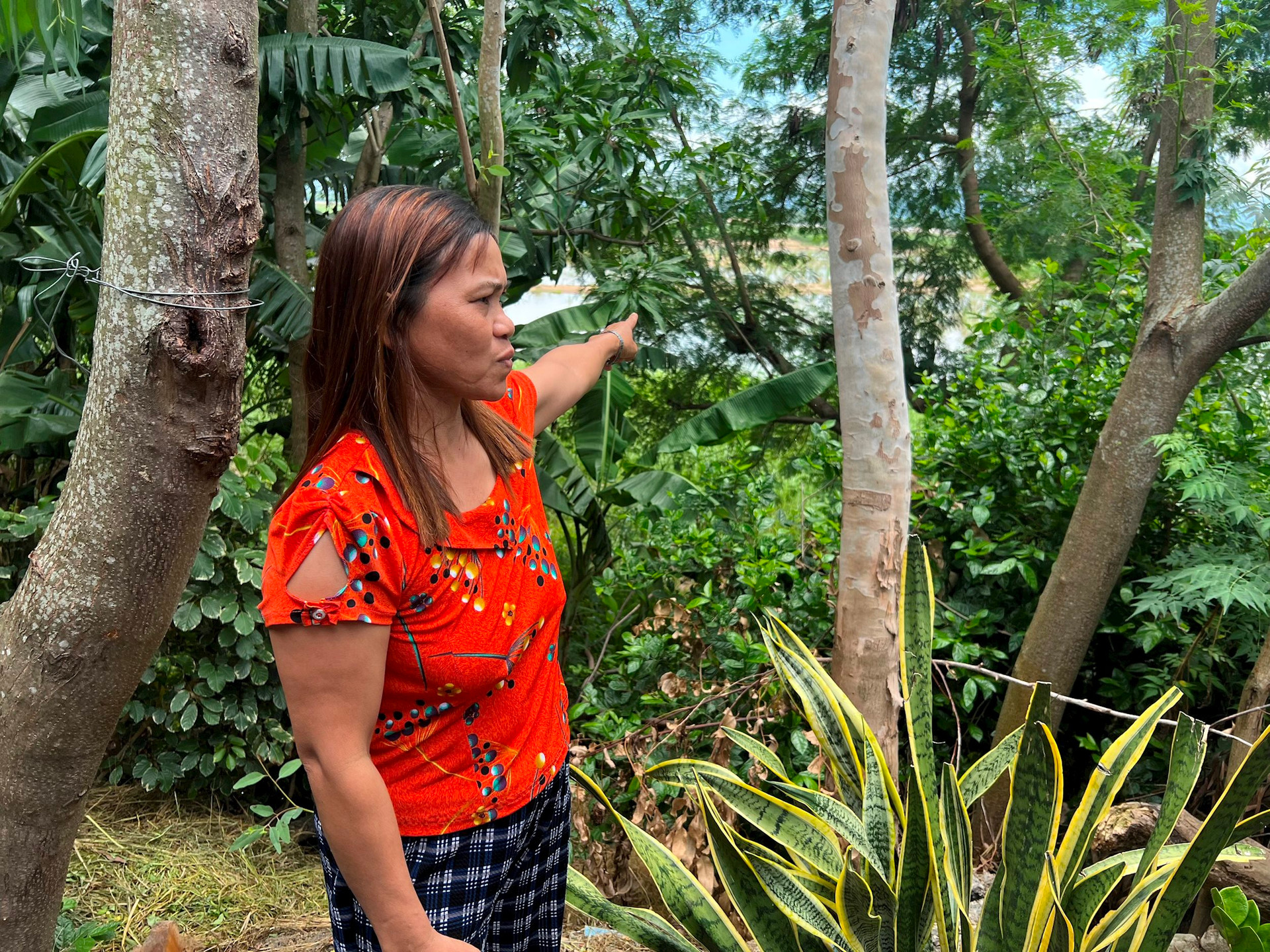 Phú Yên: Sông Ba sạt lở làm mất đất sản xuất của người dân Phú Yên: Sông Ba sạt lở làm mất đất sản xuất của người dân