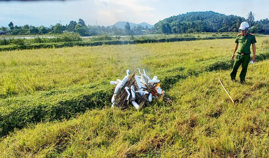 Thừa Thiên – Huế: Tiêu hủy hàng ngàn dụng cụ bẫy chim hoang dã Thừa Thiên – Huế: Tiêu hủy hàng ngàn dụng cụ bẫy chim hoang dã