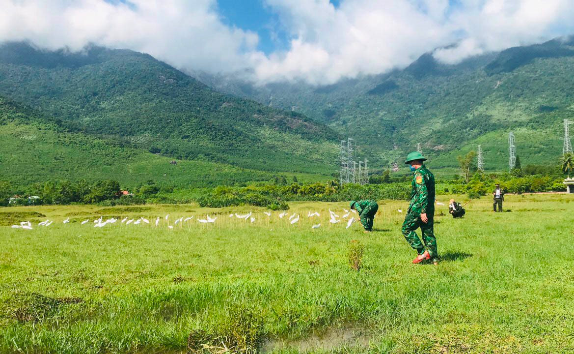 Thừa Thiên – Huế: Tiêu hủy hàng ngàn dụng cụ bẫy chim hoang dã Thừa Thiên – Huế: Tiêu hủy hàng ngàn dụng cụ bẫy chim hoang dã