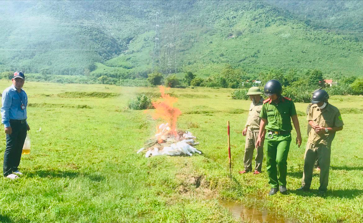 Thừa Thiên – Huế: Tiêu hủy hàng ngàn dụng cụ bẫy chim hoang dã Thừa Thiên – Huế: Tiêu hủy hàng ngàn dụng cụ bẫy chim hoang dã