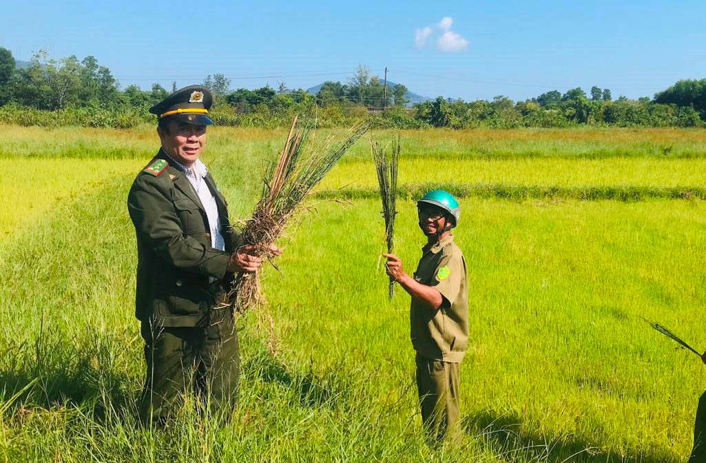 Thừa Thiên – Huế: Tiêu hủy hàng ngàn dụng cụ bẫy chim hoang dã Thừa Thiên – Huế: Tiêu hủy hàng ngàn dụng cụ bẫy chim hoang dã