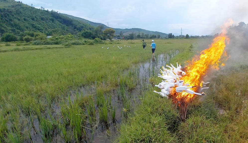 Thừa Thiên – Huế: Tiêu hủy hàng ngàn dụng cụ bẫy chim hoang dã Thừa Thiên – Huế: Tiêu hủy hàng ngàn dụng cụ bẫy chim hoang dã