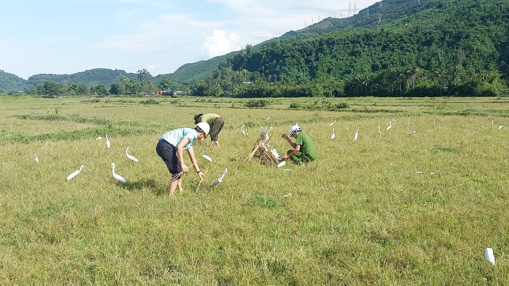 Thừa Thiên – Huế: Tiêu hủy hàng ngàn dụng cụ bẫy chim hoang dã Thừa Thiên – Huế: Tiêu hủy hàng ngàn dụng cụ bẫy chim hoang dã
