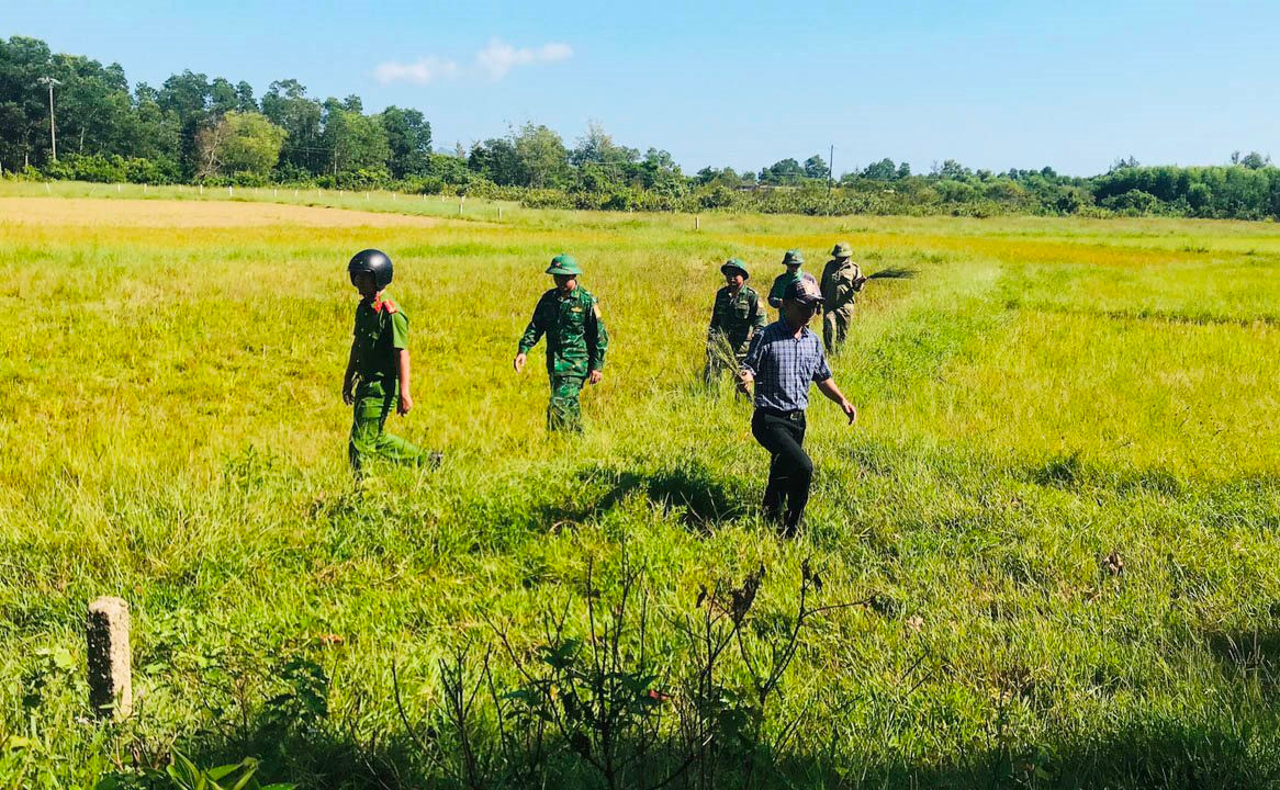 Thừa Thiên – Huế: Tiêu hủy hàng ngàn dụng cụ bẫy chim hoang dã Thừa Thiên – Huế: Tiêu hủy hàng ngàn dụng cụ bẫy chim hoang dã