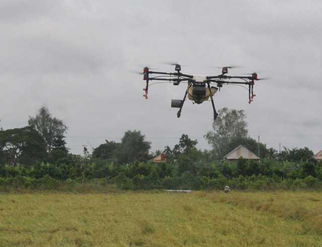 Phát triển ngành hàng lúa gạo theo hướng nâng cao hiệu quả và phát triển bền vững