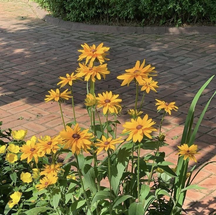 Tử vi tuần mới 19/9 - 25/9 của 12 con giáp: Tuổi Thìn tài chính bất ổn, tuổi Thân thuận buồm xuôi gió Tử vi tuần mới 19/9 - 25/9 của 12 con giáp: Tuổi Thìn tài chính bất ổn, tuổi Thân thuận buồm xuôi gió