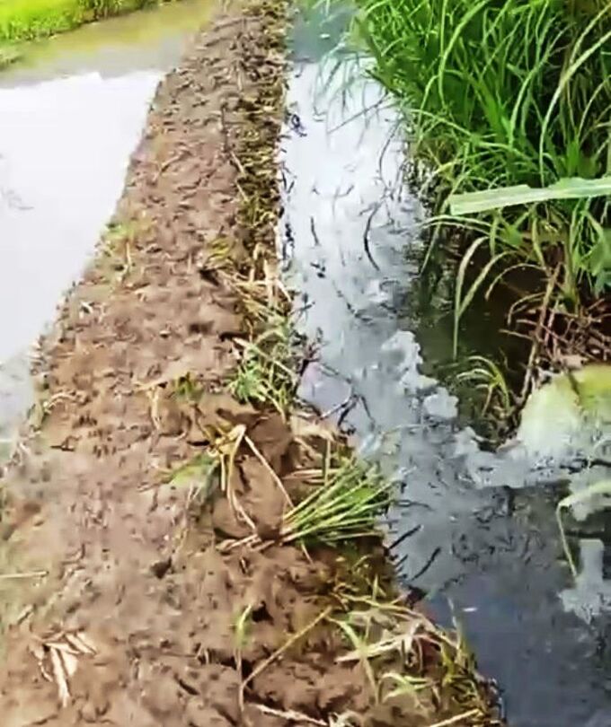 Công ty Phúc Thịnh bị phạt 150 triệu đồng vì xả thải ra môi trường