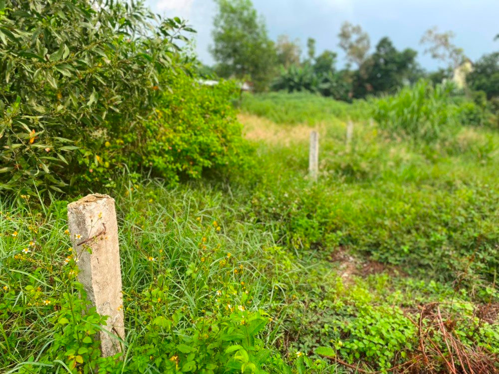 Đất nông nghiệp ở Quảng Ngãi bị “làm loạn” Đất nông nghiệp ở Quảng Ngãi bị “làm loạn”