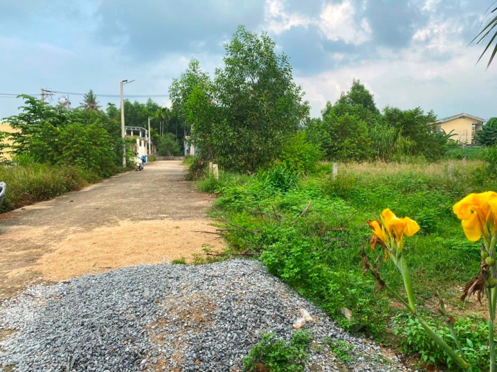 Đất nông nghiệp ở Quảng Ngãi bị “làm loạn” Đất nông nghiệp ở Quảng Ngãi bị “làm loạn”