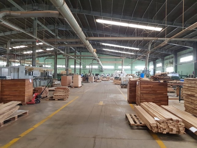 Gỗ Trường Thành bị phạt vì công bố sai lệch số liệu báo cáo tài chính