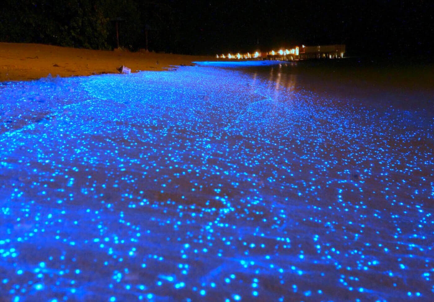 Kỳ ảo bãi biển phát sáng ở Maldives