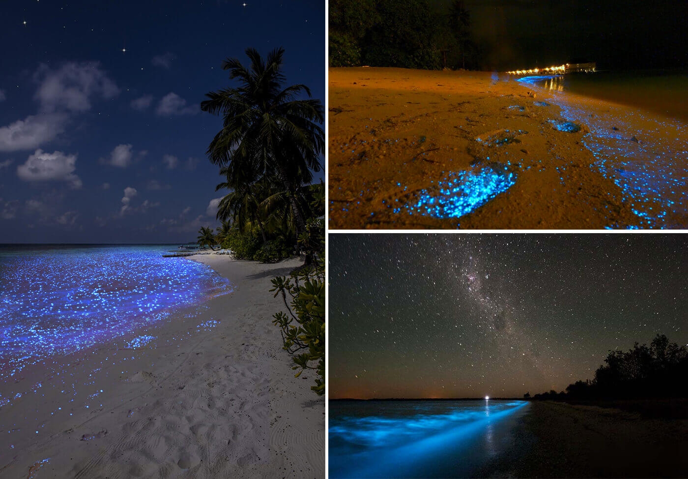 Kỳ ảo bãi biển phát sáng ở Maldives