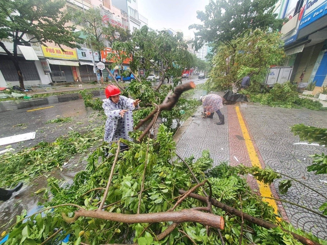Đà Nẵng: Đường phố ngổn ngang sau khi bão số 4 đổ bộ