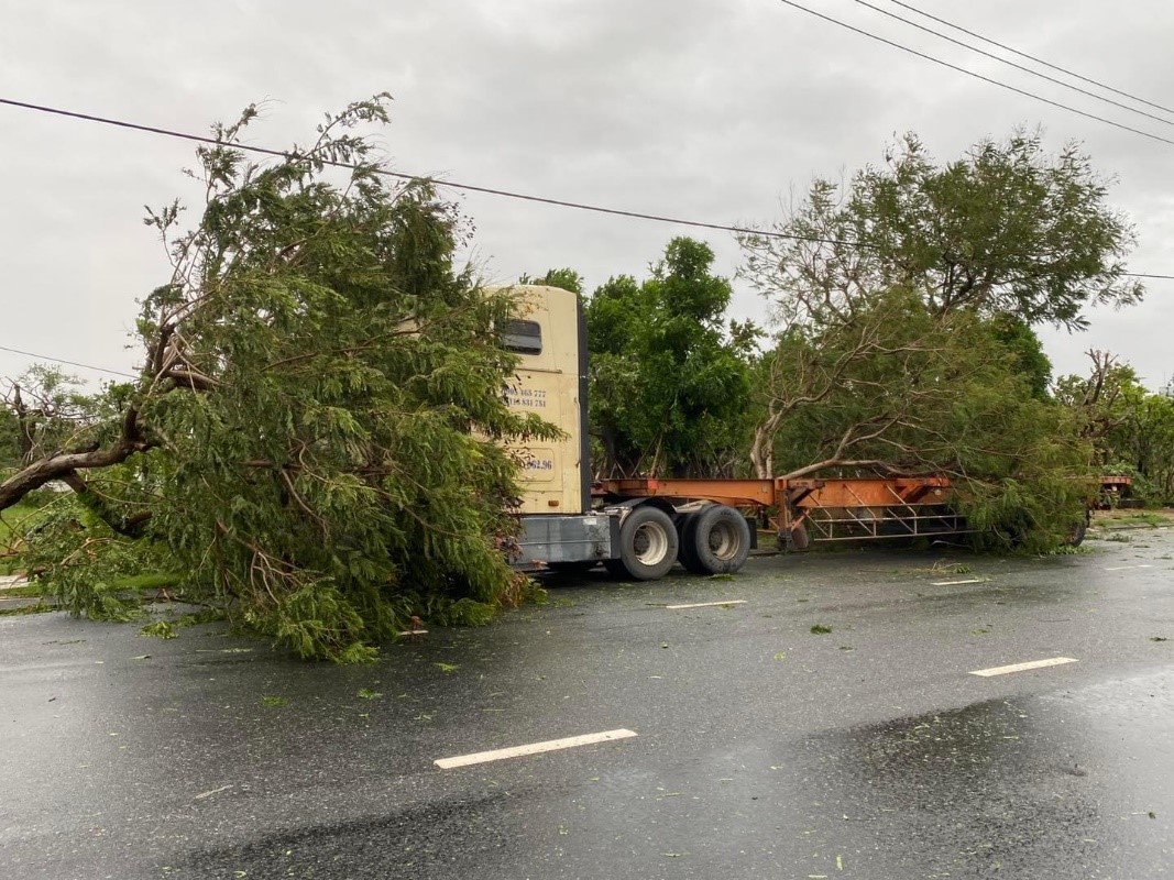 Đà Nẵng: Đường phố ngổn ngang sau khi bão số 4 đổ bộ