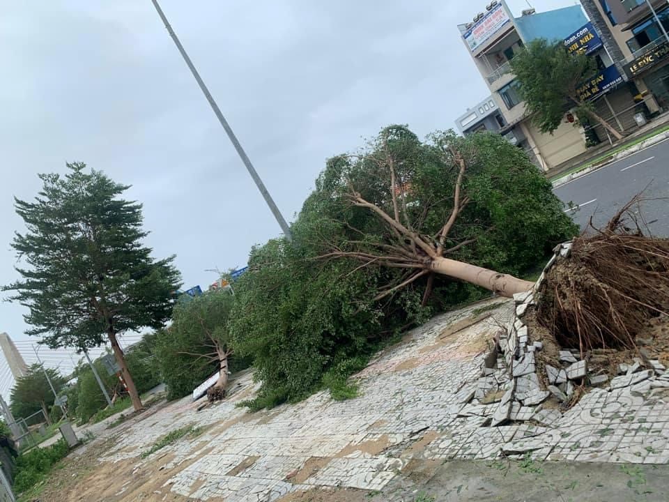 Đà Nẵng: Đường phố ngổn ngang sau khi bão số 4 đổ bộ
