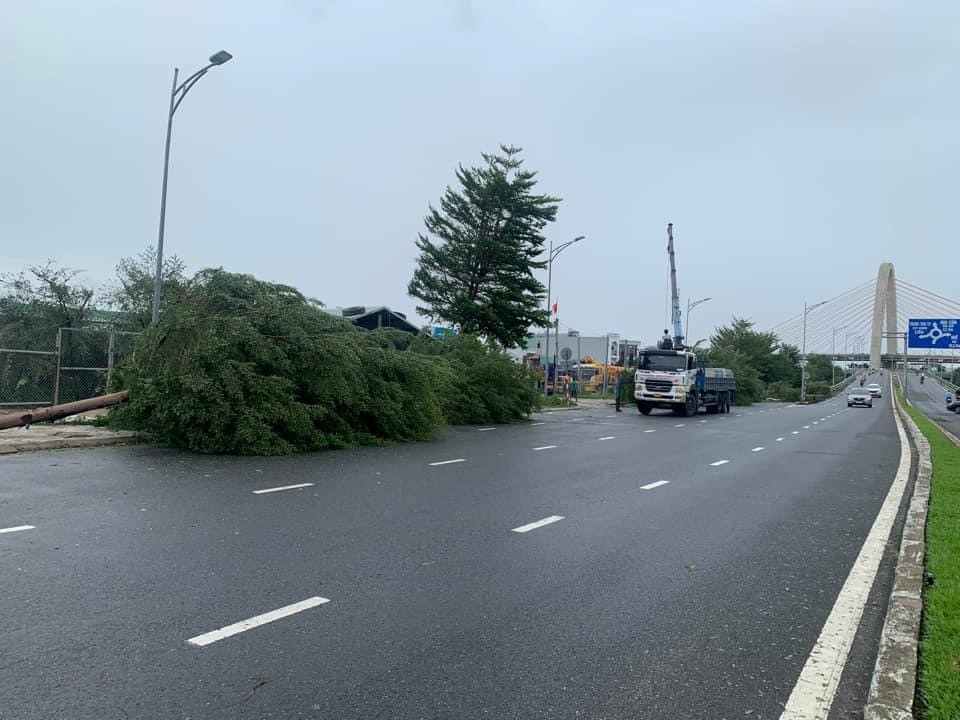 Đà Nẵng: Đường phố ngổn ngang sau khi bão số 4 đổ bộ