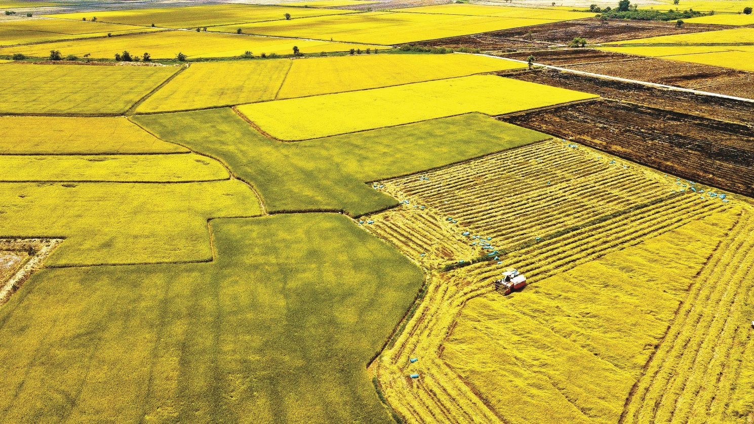 Nông nghiệp xanh trên miền đất đỏ