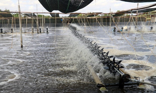 Ứng dụng công nghệ internet vạn vật trong nuôi trồng thủy sản Ứng dụng công nghệ internet vạn vật trong nuôi trồng thủy sản