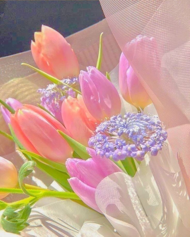 Tử vi 12 con giáp ngày 4/9/2023: Tuổi Sửu phát tài bất ngờ, tuổi Dần nên biết thông cảm Tử vi 12 con giáp ngày 4/9/2023: Tuổi Sửu phát tài bất ngờ, tuổi Dần nên biết thông cảm