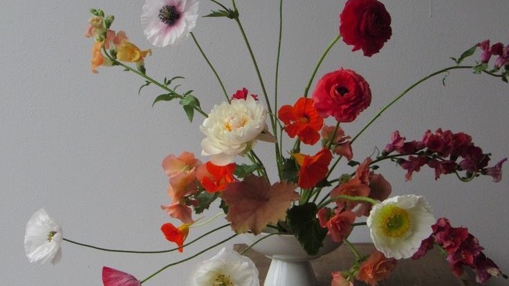 Tử vi 12 con giáp ngày 7/9/2023: Tuổi Thìn khá tự mãn, tuổi Hợi làm ăn tốt