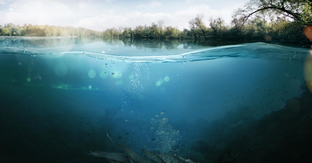 Singapore khai trương trung tâm nghiên cứu ứng phó với nước biển dâng Singapore khai trương trung tâm nghiên cứu ứng phó với nước biển dâng