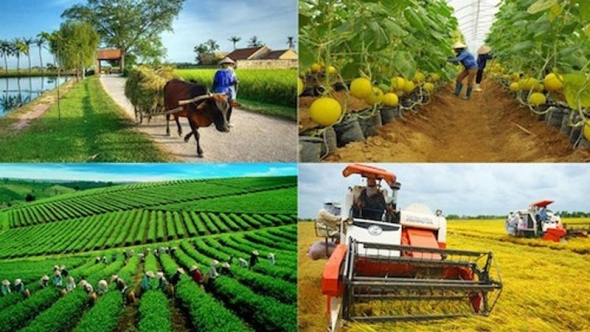 Chiến lược phát triển ngành nghề nông thôn đến năm 2030, tầm nhìn đến năm 2045
