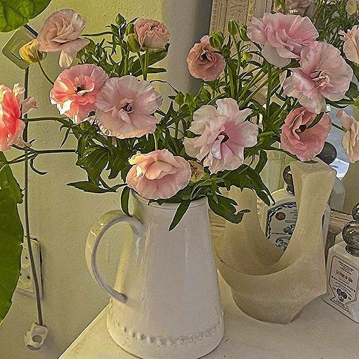 Tử vi 12 con giáp ngày 18/9/2023: Tuổi Sửu dễ gặp khúc mắc, tuổi Hợi tình cảm tốt đẹp