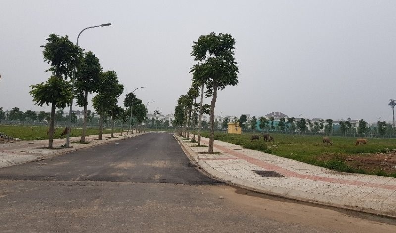 9000 vận động viên tham gia "bước chạy vì một Việt Nam vượt trội", gắn kết cộng đồng và bứt phá những kỷ lục cá nhân