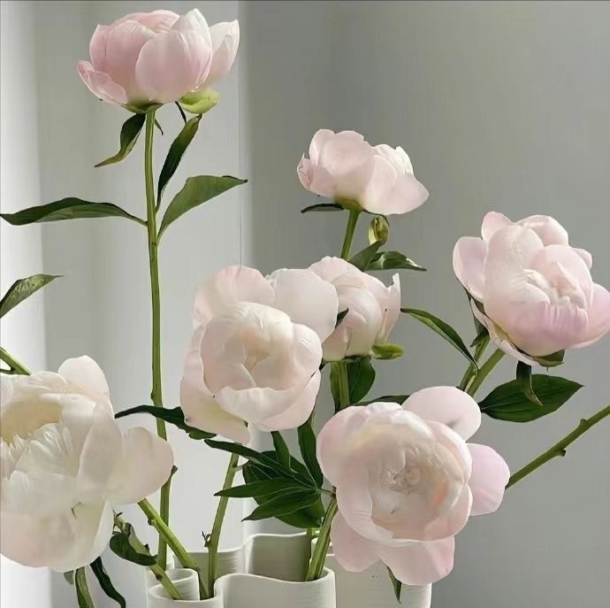 Tử vi 12 con giáp ngày 25/9/2023: Tuổi Hợi gặp vấn đề, tuổi Dần tinh thần tích cực Tử vi 12 con giáp ngày 25/9/2023: Tuổi Hợi gặp vấn đề, tuổi Dần tinh thần tích cực