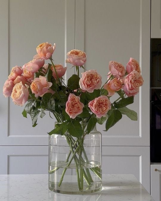 Tử vi 12 con giáp ngày 26/9/2023: Tuổi Tuất nhiều biến động, tuổi Dần thăng tiến Tử vi 12 con giáp ngày 26/9/2023: Tuổi Tuất nhiều biến động, tuổi Dần thăng tiến