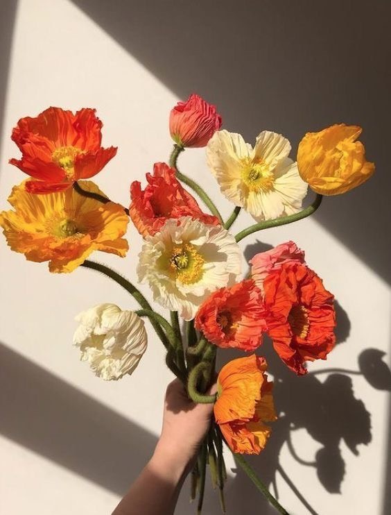 Tử vi 12 con giáp ngày 27/9/2023: Tuổi Tuất tin xấu, tuổi Tỵ gặp may Tử vi 12 con giáp ngày 27/9/2023: Tuổi Tuất tin xấu, tuổi Tỵ gặp may