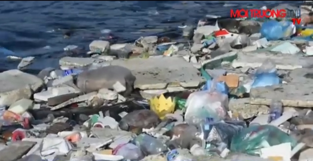 Rác thải nhựa vấn đề lớn hiện nay Rác thải nhựa vấn đề lớn hiện nay