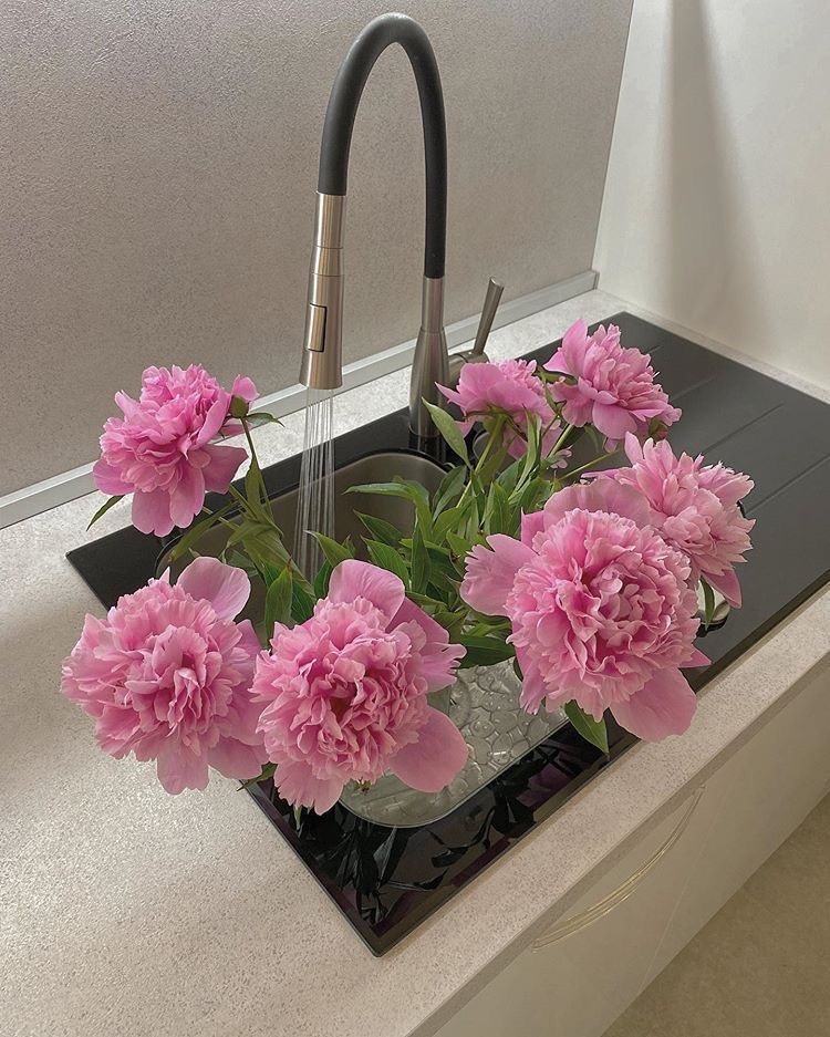 Tử vi 12 con giáp ngày 29/9/2023: Tuổi Sửu vận trình suôn sẻ, tuổi Thân nhiều trở ngại