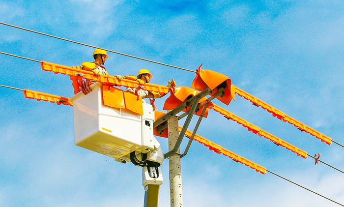 Đến năm 2030 điện tái tạo chiếm 25-30%