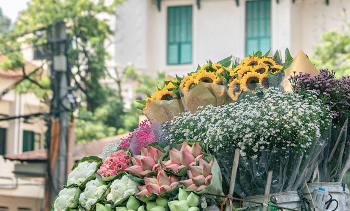 Không khí lạnh có thể đến sớm Không khí lạnh có thể đến sớm