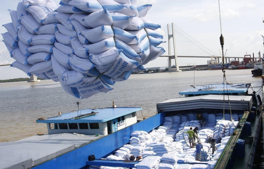 Xuất khẩu gạo Việt Nam: Chủ động thị trường, nâng tầm giá trị Xuất khẩu gạo Việt Nam: Chủ động thị trường, nâng tầm giá trị